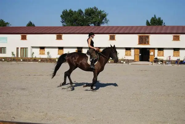 Horse-Riding